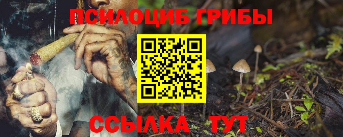 Галлюциногенные грибы мухоморы Шадринск