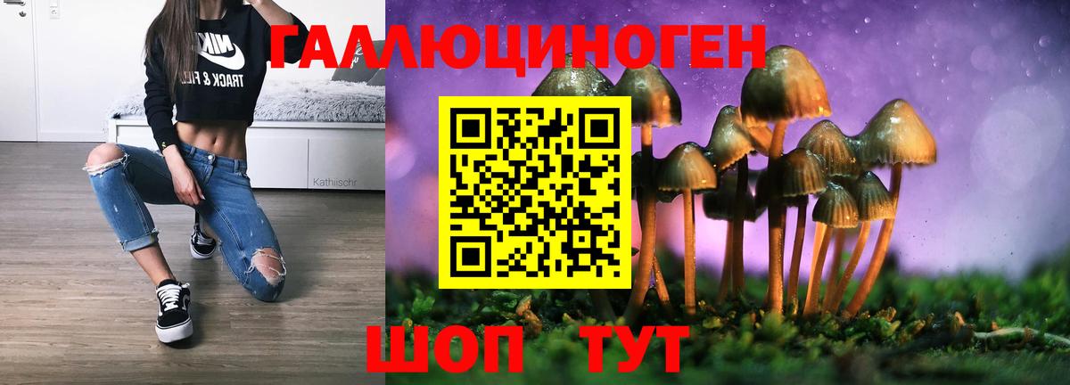 Псилоцибиновые грибы GOLDEN TEACHER  Вход с VPN  Галлюциногенные грибы Magic Shrooms  дарнет шоп  Шадринск 